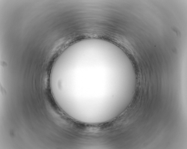X0000091350694200708101037