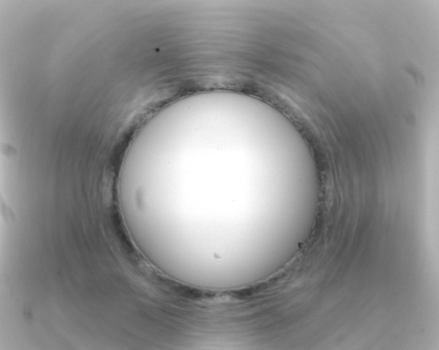 X0000091350695200708101037