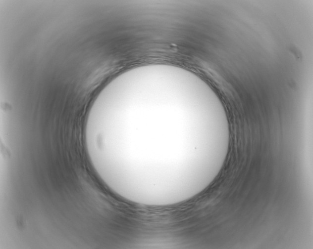 X0000091350696200708101037