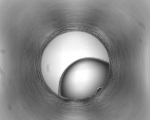 X0000091350697200708101037