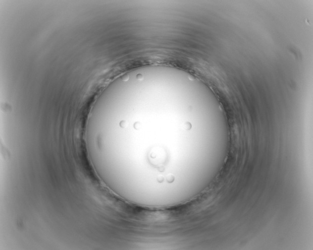 X0000091350698200708101037