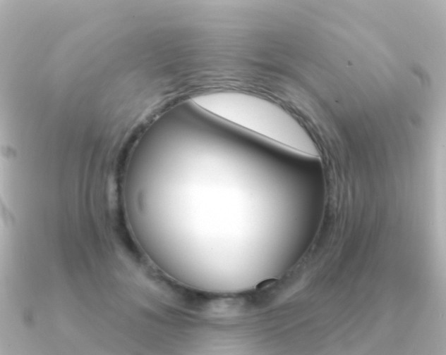X0000091350700200708101037