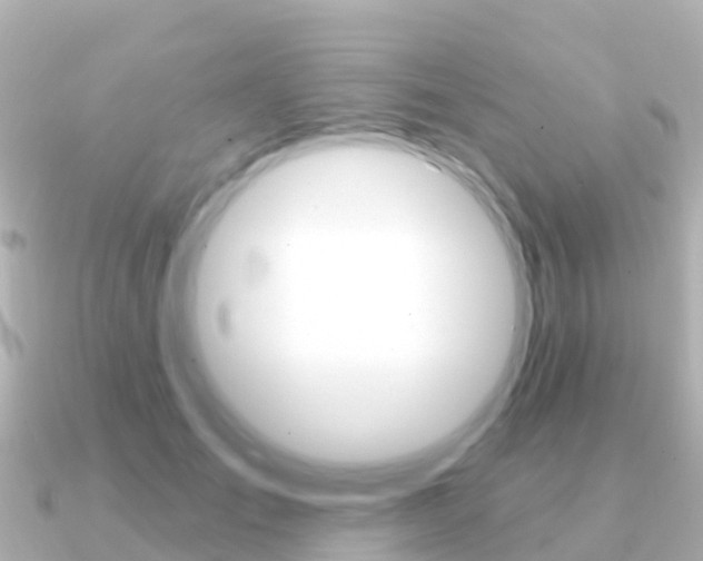 X0000091350701200708101037