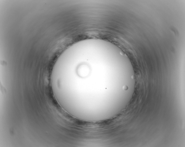 X0000091350702200708101037