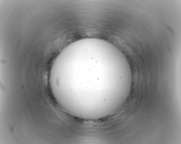 X0000091350703200708101037