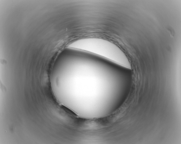 X0000091350704200708101037