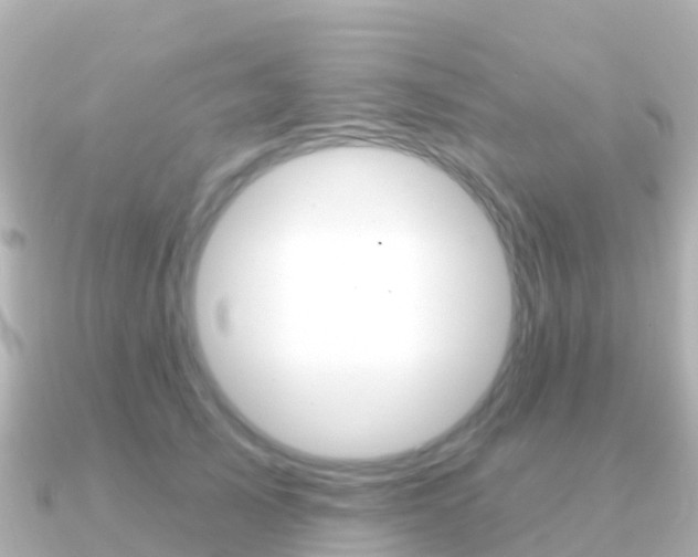 X0000091350705200708101037
