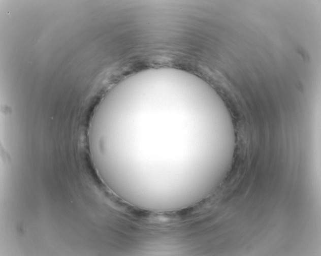X0000091350706200708101037