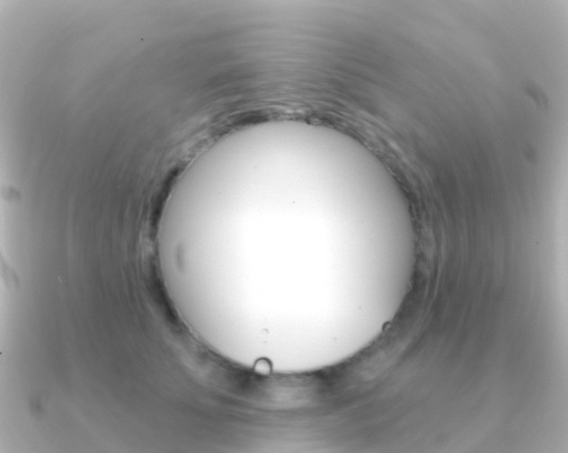 X0000091350707200708101037