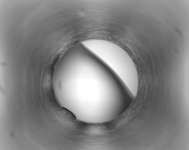 X0000091350708200708101037