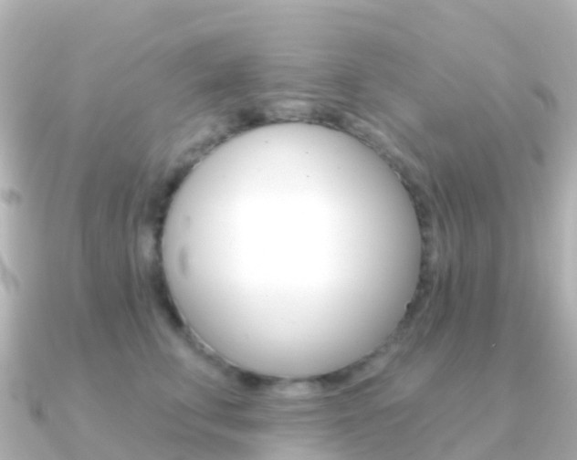 X0000091350711200708101037
