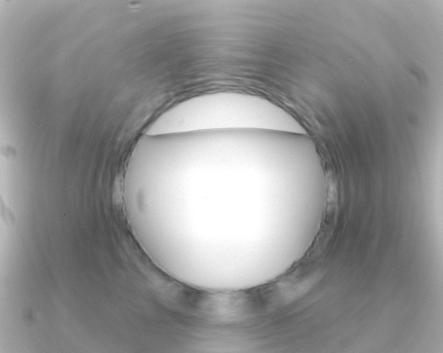 X0000091350713200708101037