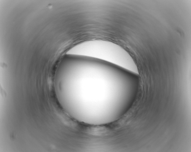 X0000091350716200708101037
