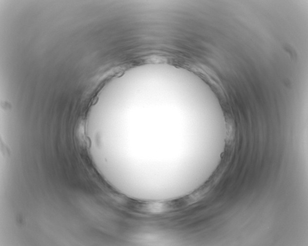 X0000091350717200708101037