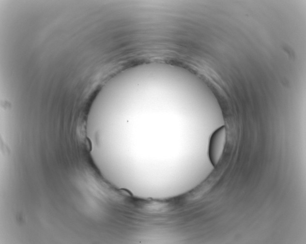 X0000091350718200708101037