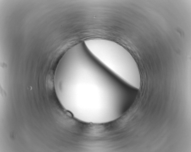 X0000091350719200708101037