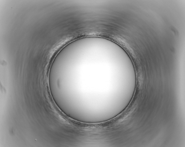 X0000091350721200708101036