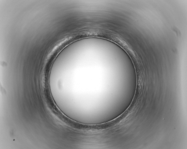 X0000091350722200708101036