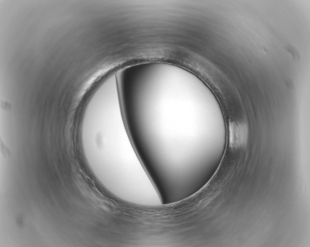 X0000091350723200708101036