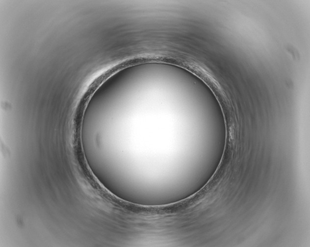 X0000091350724200708101036