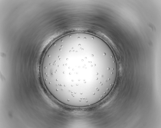 X0000091350725200708101036