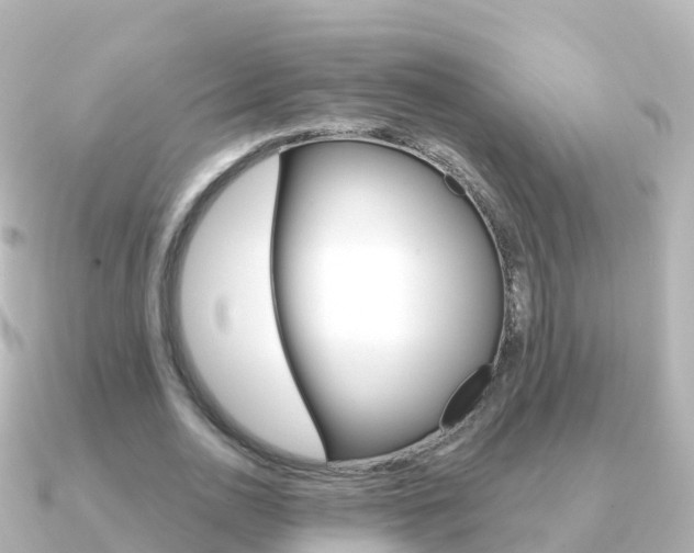 X0000091350726200708101036