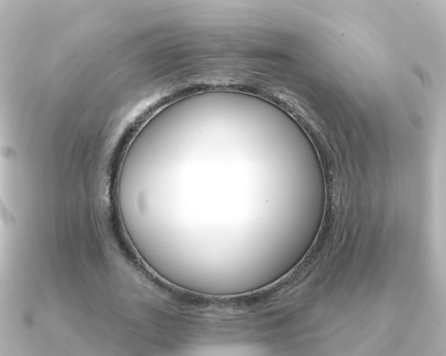 X0000091350727200708101036
