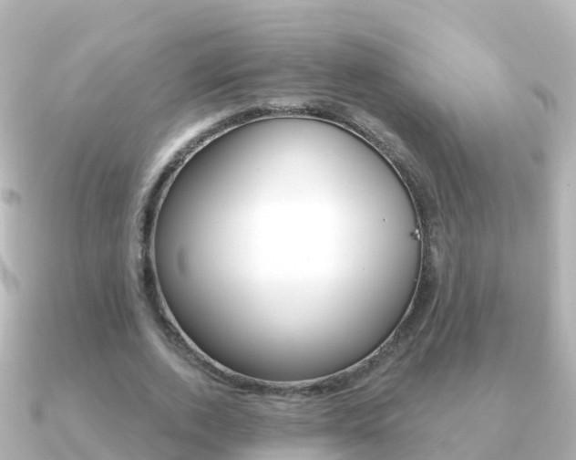 X0000091350728200708101036
