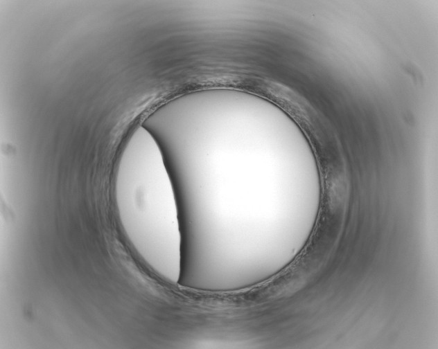 X0000091350729200708101036