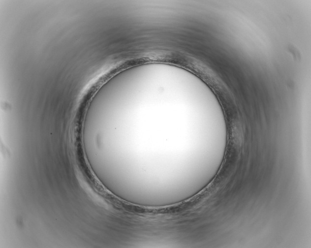 X0000091350730200708101036