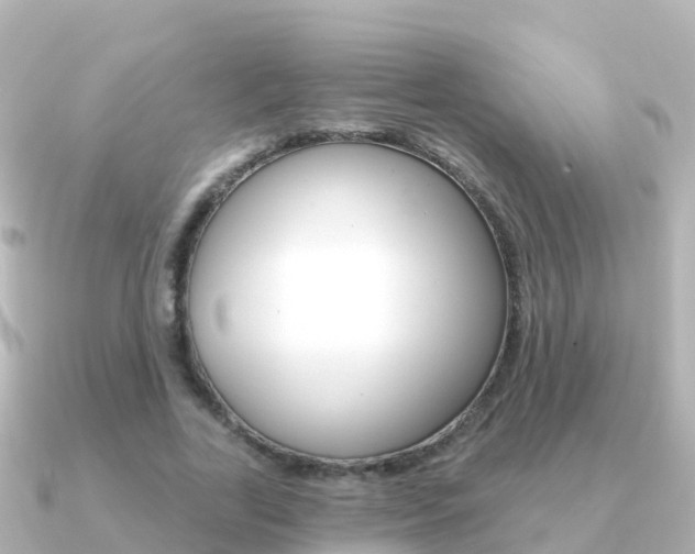 X0000091350731200708101036