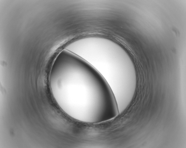 X0000091350732200708101036