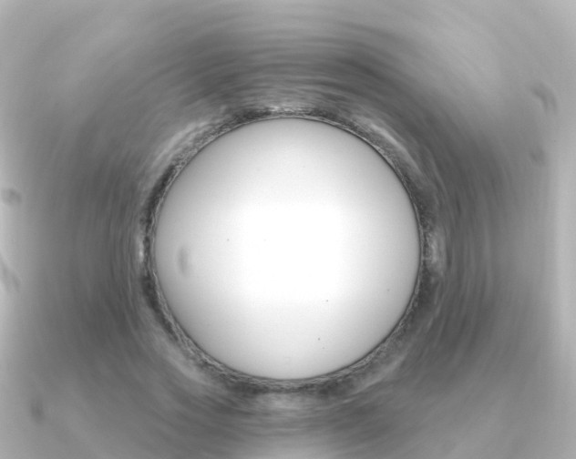X0000091350733200708101036