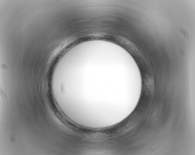 X0000091350734200708101036