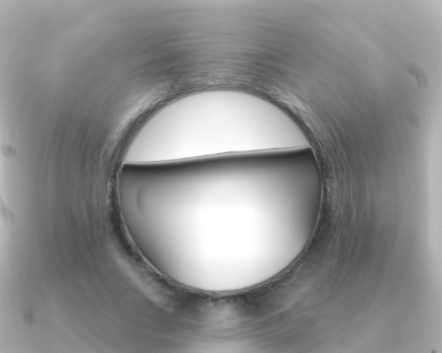 X0000091350735200708101036