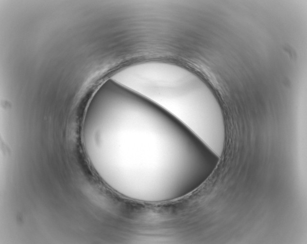 X0000091350736200708101036