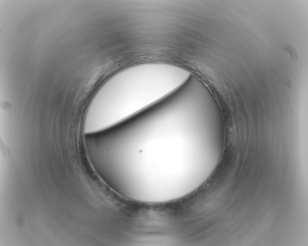 X0000091350739200708101036