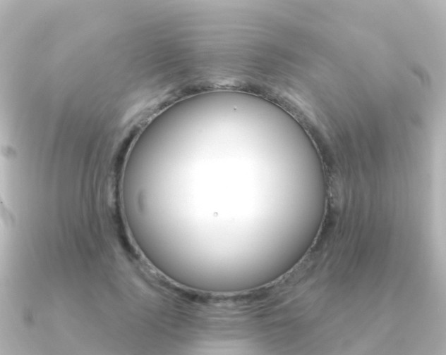 X0000091350740200708101036