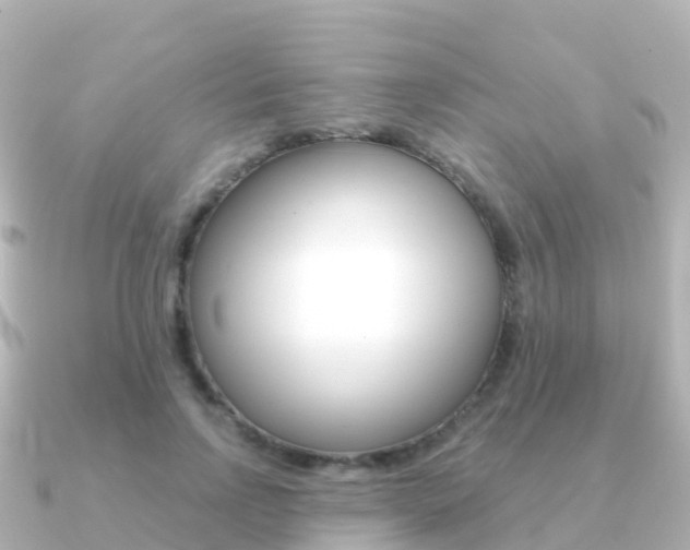 X0000091350742200708101036