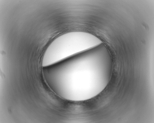 X0000091350743200708101036