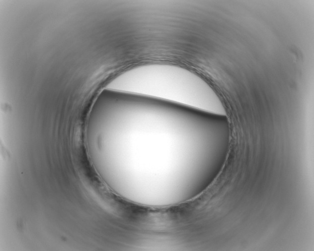 X0000091350744200708101037