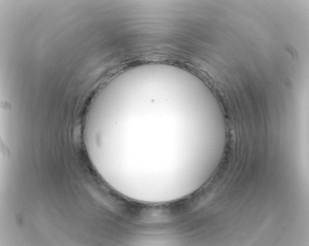 X0000091350745200708101037