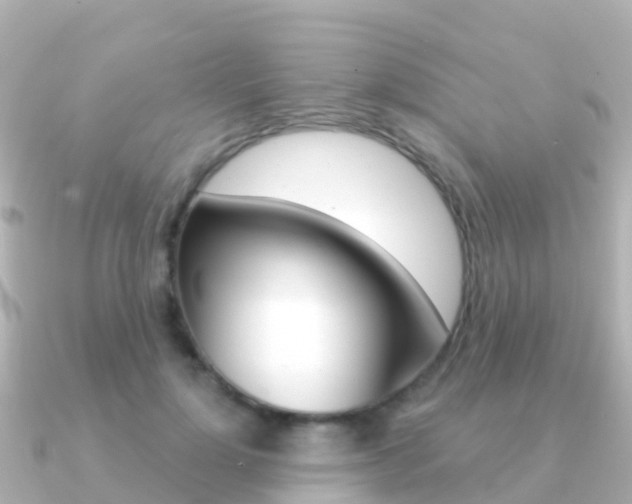 X0000091350748200708101037