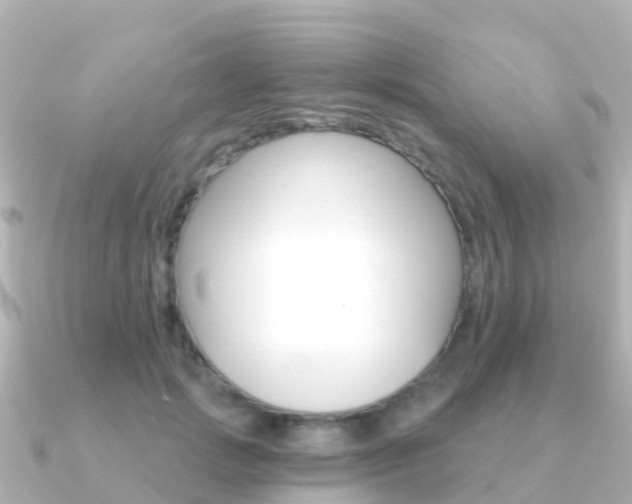 X0000091350749200708101037