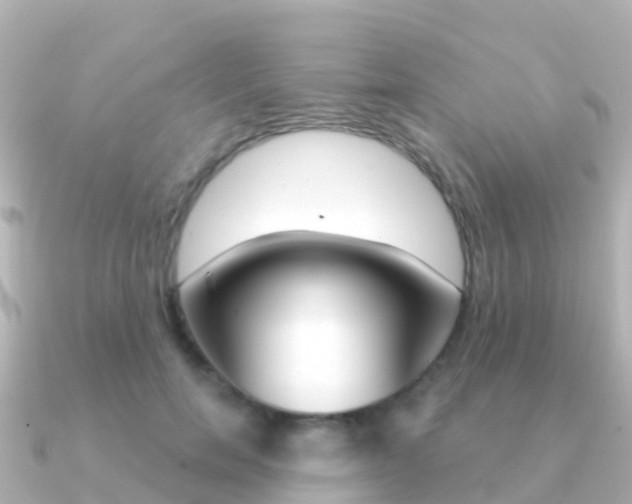 X0000091350750200708101037