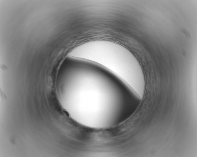 X0000091350752200708101037