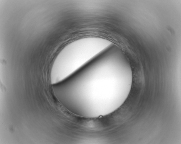 X0000091350755200708101037