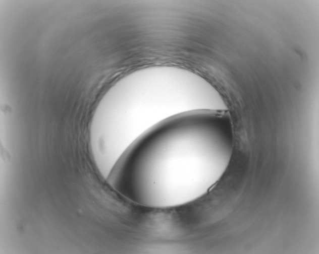 X0000091350756200708101037