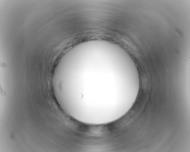 X0000091350757200708101037