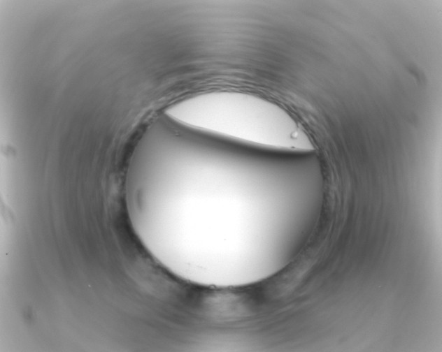 X0000091350759200708101037